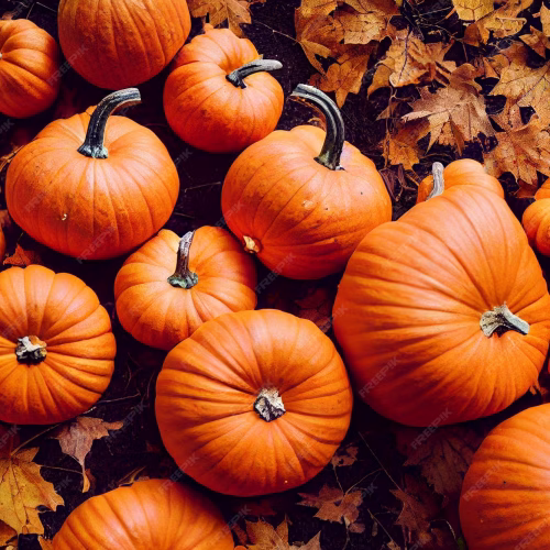 halloween-pumpkin-wallpaper-textures_713888-454