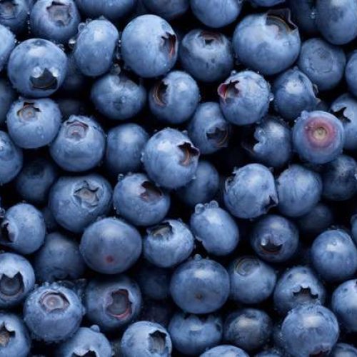 pngtree-a-close-up-of-blueberries-in-a-pile-image_13011165